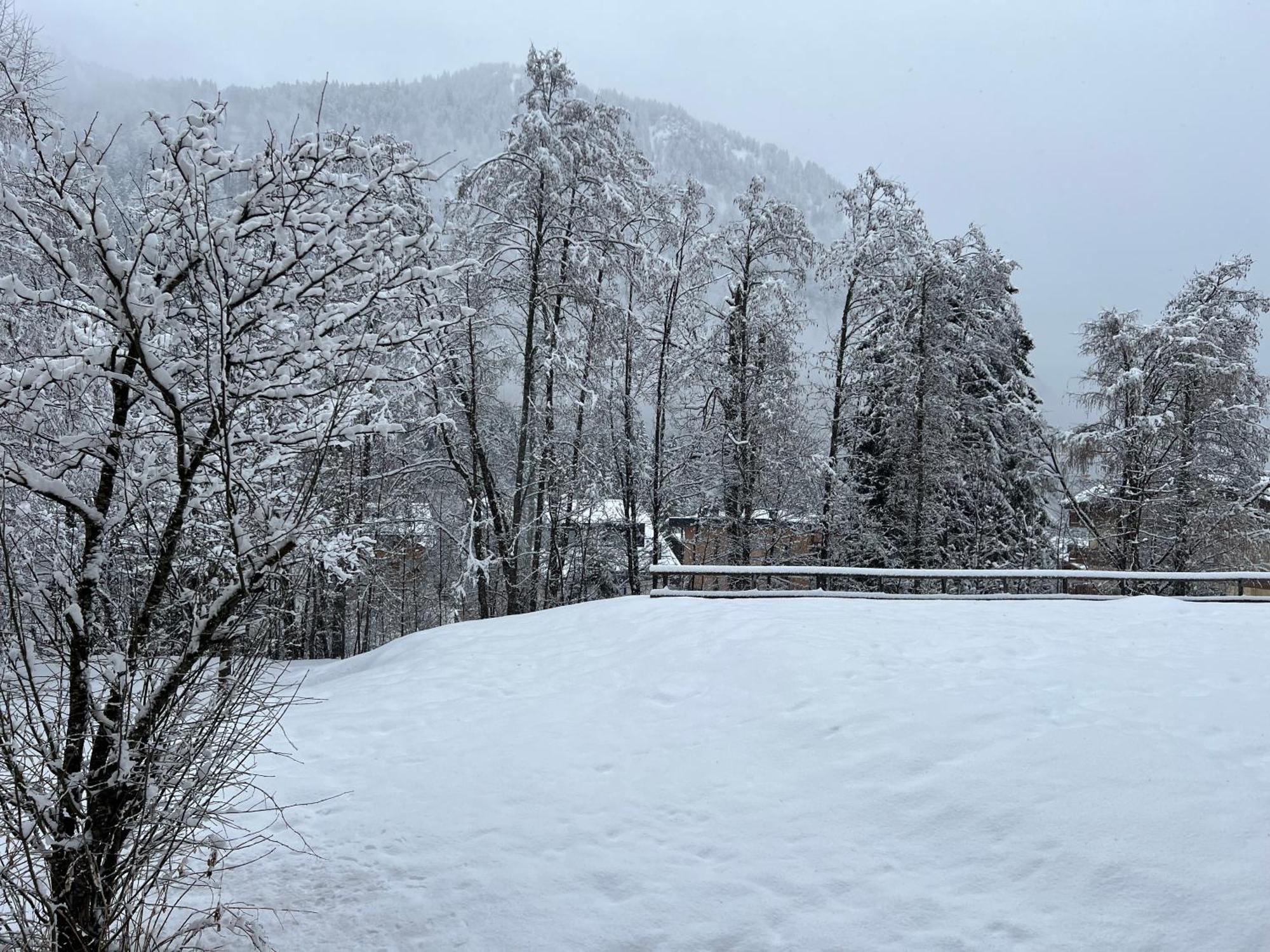 Il Cirmolo