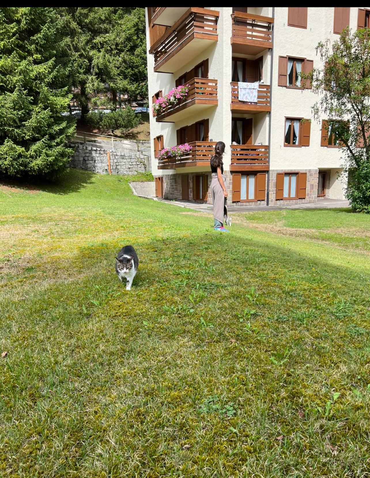 Il Cirmolo Appartamento Madonna